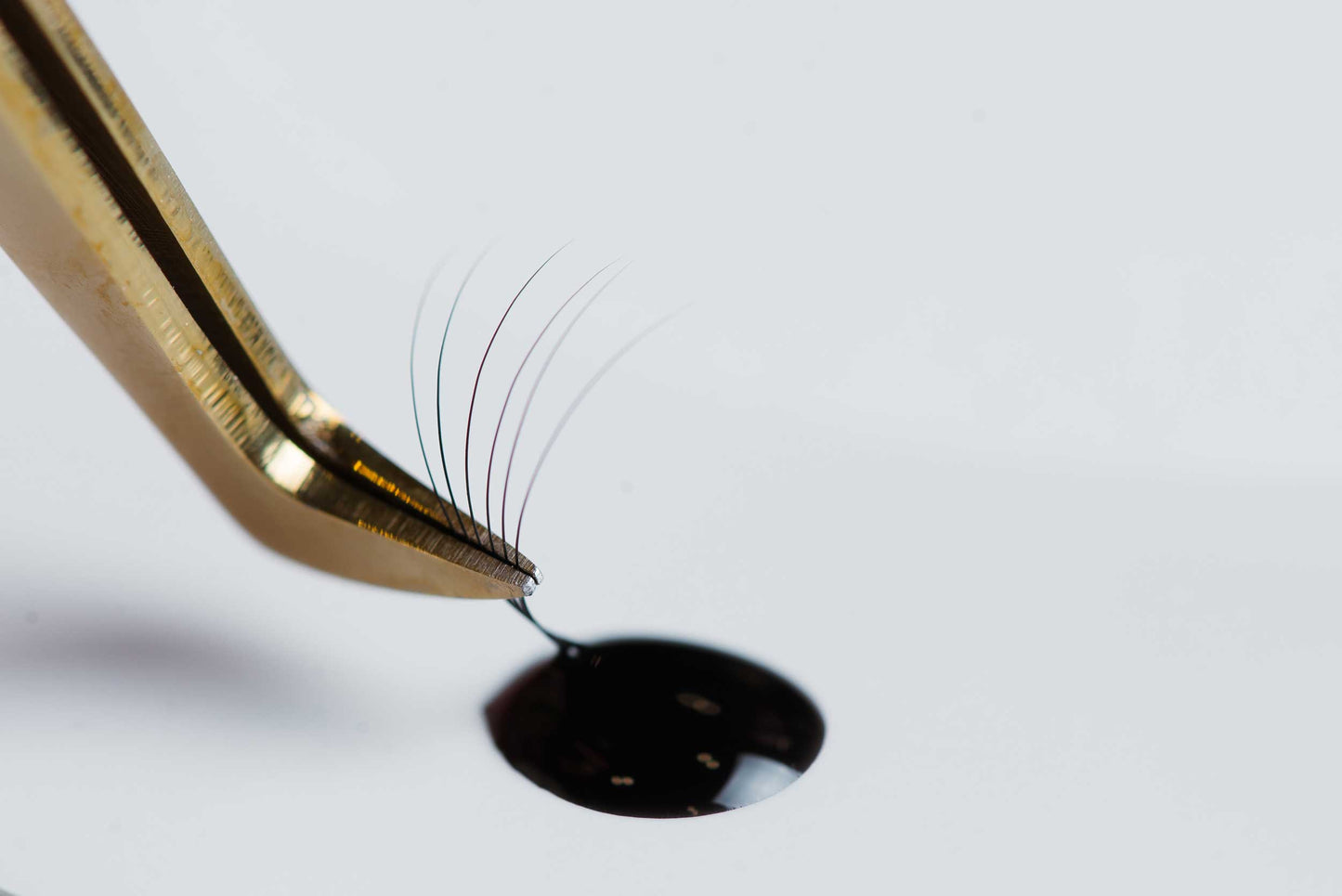 Divine-Lashes.jpg__PID:1248a272-7923-4c9b-af3f-c4267aba0b5f